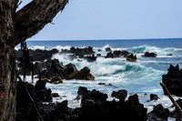 Artz Photo 5 -_DSC0817