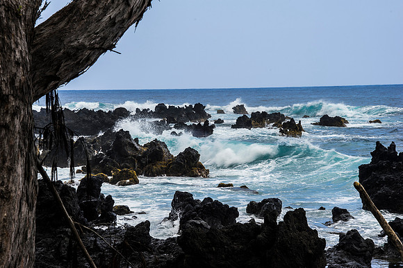 Artz Photo 5 -_DSC0817