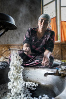 Extracting silk