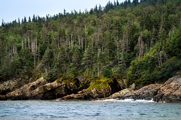 Canada-007_A185218