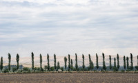 Fergana Valley