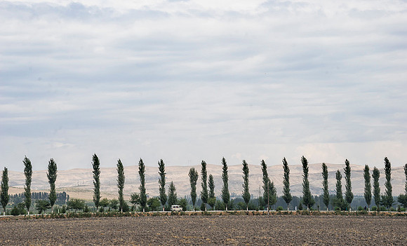 Fergana Valley