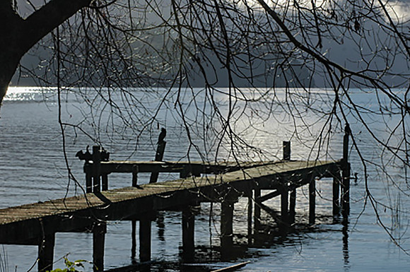 Tarawera Old Jetty