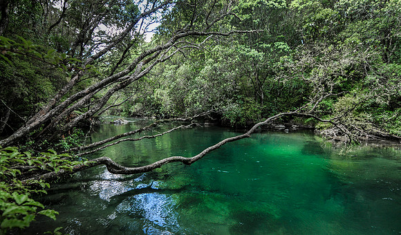 Tarawera river tranquil
