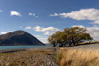 240316 Ohau 19DSC05459