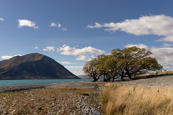240316 Ohau 19DSC05459