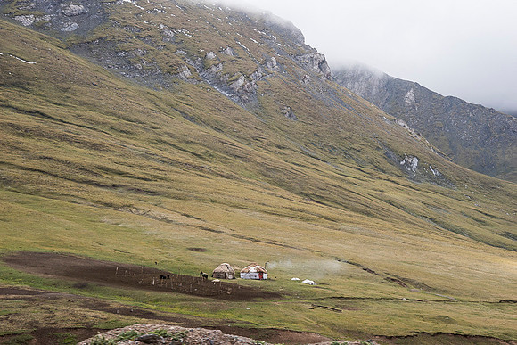 Lonely farmer