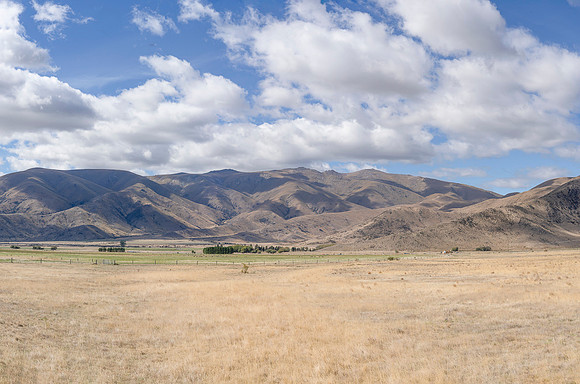 240317 Omarama  Clay Cliffs101DSC05466