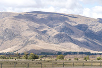 240317 Omarama  Clay Cliffs102DSC05473