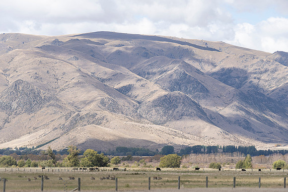 240317 Omarama  Clay Cliffs102DSC05473