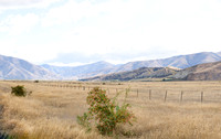 240317 Omarama  Clay Cliffs107DSC05548