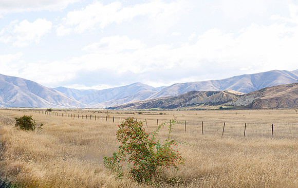 240317 Omarama  Clay Cliffs107DSC05548