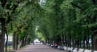 City garden