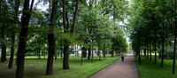 City garden