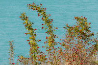 240316 Ohau 20DSC05449