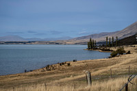 240316 Ohau 04DSC05385