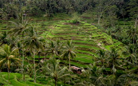 Artz1-010_D178750,Edited4450