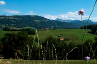 Pasture