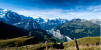 Grindelvald
