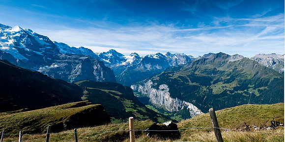 Grindelvald