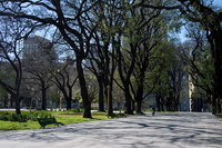 Huge parks