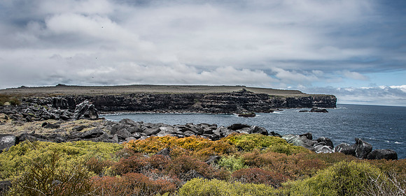017 _D138008