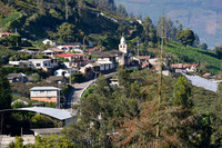 037 _D134954