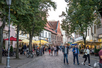 015DSC02153