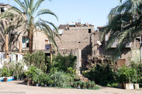 Hughada to Luxor-017_D151239