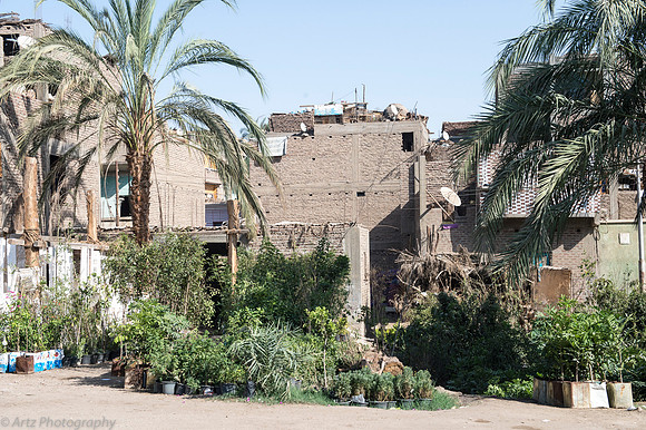 Hughada to Luxor-017_D151239