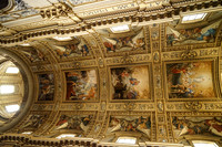 009DSC09692