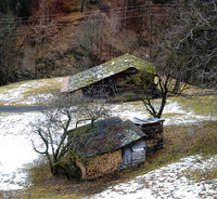009 Switz DSC05806