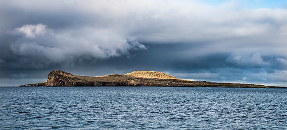 020 _D138125