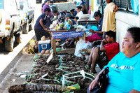 10DSC_6832