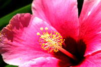 02DSC_6685