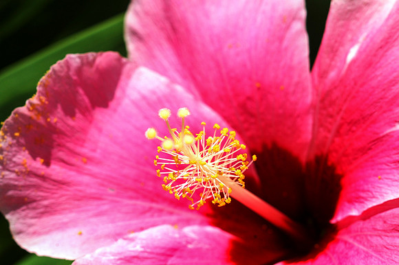 02DSC_6685