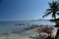 Tahiti 0 Papeete001_A186133