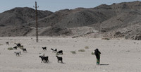 Hughada to Luxor-009_D151198
