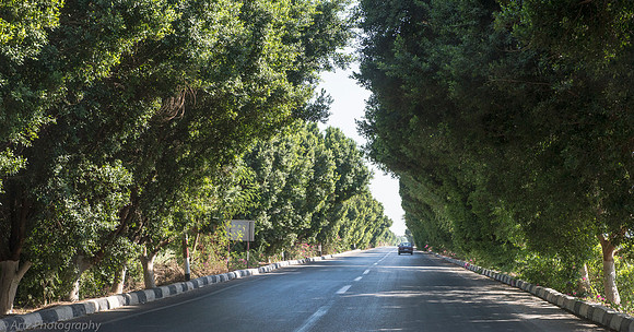 Hughada to Luxor-016_D151226