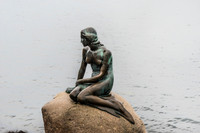 The little mermaid