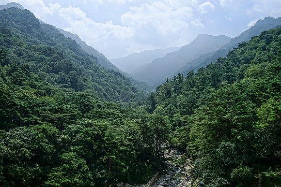 059Nth.Korea DSC07878