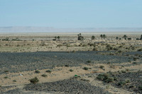 1 Dades-108_D164577