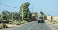 1 Dades-100_D164554