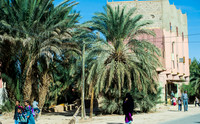 1 Dades-101_D164570