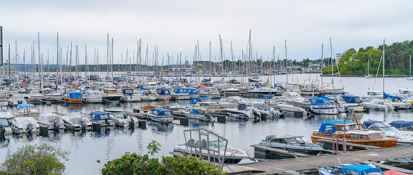 Artz-035_A180068