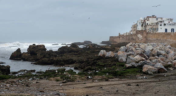 0 Coast Essaouira-042_D165997