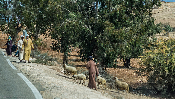 0 Coast Essaouira-017_D165887