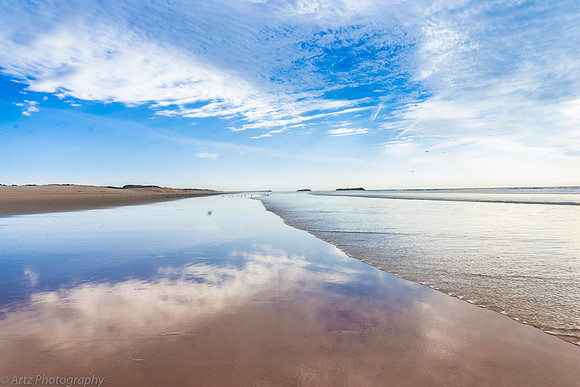 0 Coast Essaouira-038_DSC4494