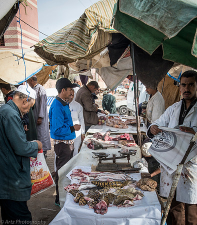 0 Coast Essaouira-028_D165791