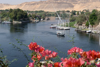 Aswan-003_D152960